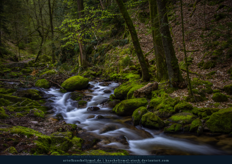 Free Stock Black Forest River kuschelirmel