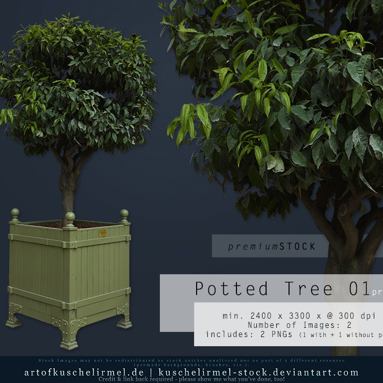 Potted Tree 01_precut premium_cover