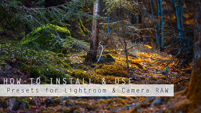 Installing & Using *xmp Presets in Lightroom & Camera RAW