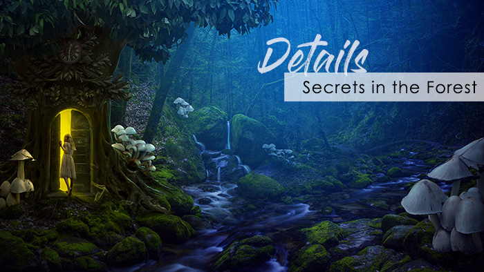 Details: Secrets in the Forest