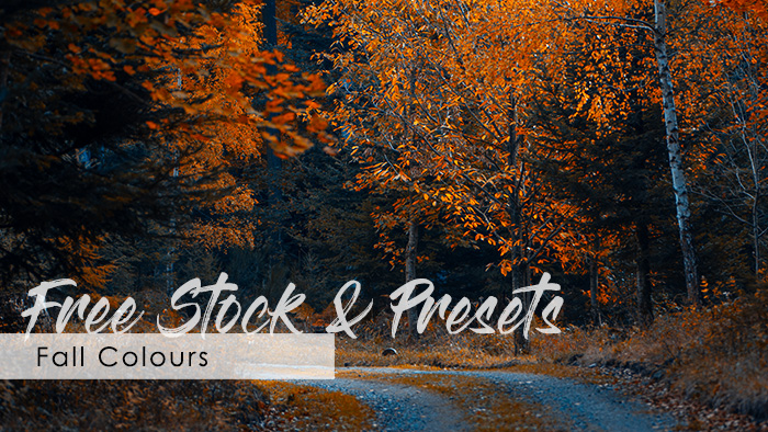 Free Stock & Preset: Fall Colours